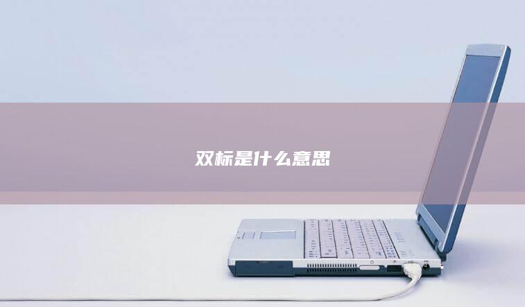 双标是什么意思-次元社