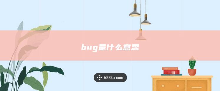 bug是什么意思-次元社