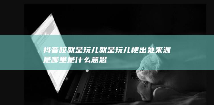 抖音哎就是玩儿 就是玩儿梗出处来源是哪里是什么意思-次元社