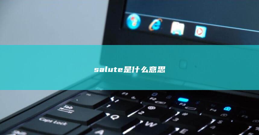 salute是什么意思-次元社