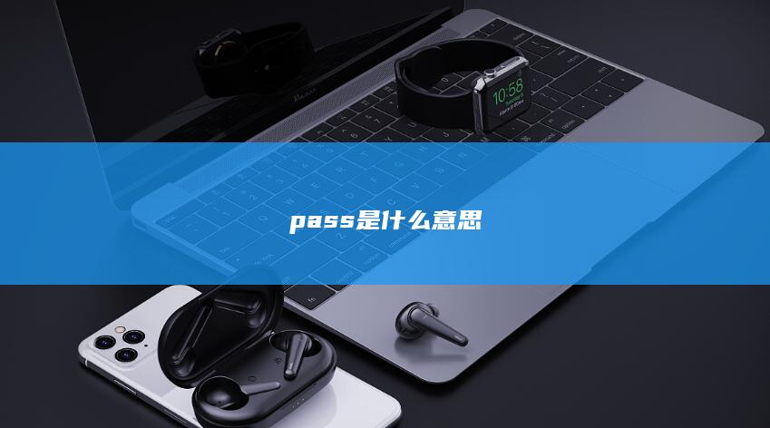 pass是什么意思-次元社