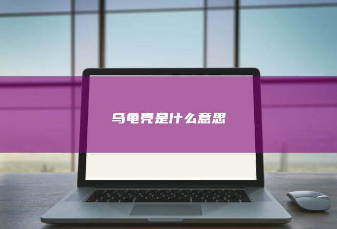 乌龟壳是什么意思-次元社