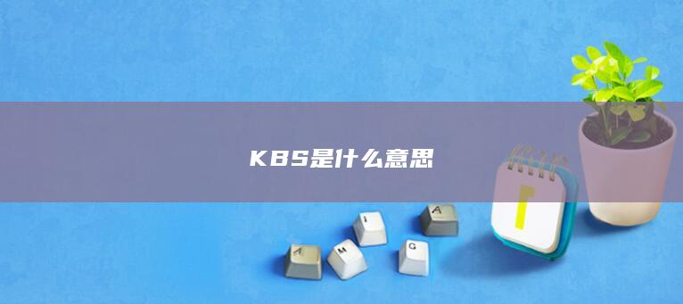 KBS是什么意思-次元社